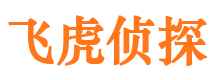 永胜侦探公司